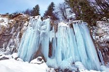 pensiunea craiul, cazare, pensiune, restaurant, sejur, calitate, traditie, camera, munti, apuseni, servicii, turism, transilvania, ardeal, avram iancu, vidra, crai, deal, vanatoare, animale